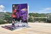 BTA Key Partner in Veliko Tarnovo's Bid for European Capital of Culture 2032, Mayor Says