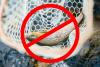 What You Need to Know About Montana "Hoot Owl" Restrictions