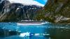 U.S. Destination Banned By Cruise Lines Is Replaced By This Underrated Stop Instead