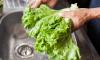 Lettuce grower Taylor Farms reportedly to recall ingredients linked to 'diarrhea parasite' outbreak