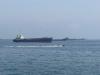 Conflict in West Asia has claimed lives of 14 Indian seafarers: MEA