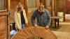 ‘Maine Cabin Masters: All Inn’: Chase & Sarah Morrill Roll the Dice on Big Dream