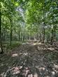 Western Maine group conserves riverside woods in Strong