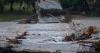 Historic Flooding Causes Bridge Collapse in Texas Hill Country
