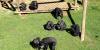 Greek yogurt bars help Chimp Haven chimps brave Louisiana heat