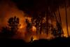 Canadian Wildfires Are Impacting Wildlife Across the Northeast, Says Danbury Expert