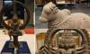 Australia to proactively return stolen Indian artefacts, minister says