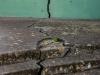 7.4 magnitude earthquake jolts southern Mexico