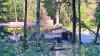 Bear viewing area in Hyder, Alaska, closed due to flooding