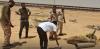 Dozens of Cattle Die, Revealing New Foot-and-Mouth Disease Outbreak in Sulouq