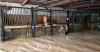 Texas flooding batters ranches, prompts agricultural emergency