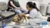 Humane Society of South Mississippi opens after-hours vet clinic