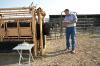 Perspective: Oregon ballot initiative could radically change livestock practices