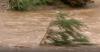 SBA disaster loans still available for Arizona small businesses