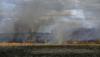 Wildfire Smoke Returns to New York: How to Protect Your Health