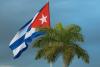 Deputy foreign minister denounces military incitement against Cuba