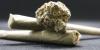 Following budget shortfall, South Hadley debates reversing ban on cannabis dispensaries
