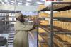 Proton Bakery Emerges as Zimbabwe’s Industrial Success Story with US$20 Million Expansion Drive