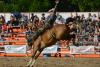 Weekend see and do: rodeo, fireworks, cheesecake and more