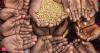 Delhi government raises annual family income limit to Rs 2.5 lakh for ration card applications