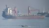 US backs Iraq-Syria oil pipeline bypassing Strait of Hormuz