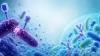 Szeged Researchers Join EU Scheme to Combat Superbugs