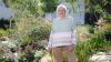 Sabrina Hahn: How to help struggling citrus tree, viburnum, privet hedge and bay tree