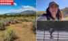 Missing nuclear scientist's phones were wiped before she vanished. Then chilling clues cops missed were found by her body