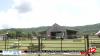 Aubie Smith Farms Sunflower Fields attract local tourism