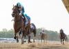 Business As Usual For Champion Book’em Danno In Mr. Prospector