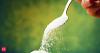 Sugar prices hit record highs amid supply concerns in India