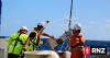 Scientific voyage maps deep ocean changes across Cook Islands EEZ