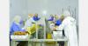 Tunisian Deglet Nour stocks nearly exhausted