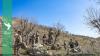 Strikes blamed on Tehran kill Iranian Kurdish rebels in Iraq