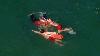 WATCH: Felony suspect's ocean getaway unravels after 90-minute standoff with lifeguards
