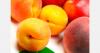 Ukraine fruit shortage in Kharkiv region deepens after frost damage
