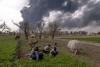 US-Israeli Bombing Has Harmed Iran’s Wildlife, Farms, and Water Supply