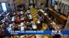 Mississippi Legislature special session ends with major changes to  youth court system