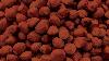 Arabic word of the week'Bunduq', or hazelnut, has a surprisingly explosive history