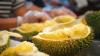 ‘If you want to eat durians, don’t wait for the price to drop; durians don’t wait for you’: Singapore sellers say prices are rising again