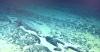 Proposed Mineral Leasing Notice Published in Federal Register