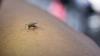 Dengue fever and heart health: Expert warns of hidden cardiac risks to note