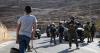 Where has all the Palestinian olive oil gone? 