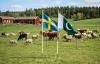 Sweden Backs Pakistan’s Global Role on Antimicrobial Resistance