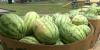 48th Mississippi Watermelon Festival underway in Mize