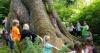 Oregon’s UNESCO biosphere celebrates 50th anniversary