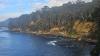 Shark attack leaves diver injured off Tasmania’s Bruny Island