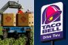 Taco Bell faces first lawsuits over diarrhea-causing contaminated lettuce
