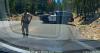 Two Forest Service Workers Freed After Day-Long Hostage Standoff in Siskiyou County
