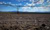 Southern Oregon Farmers Idle 11K Acres To Help Conserve Water